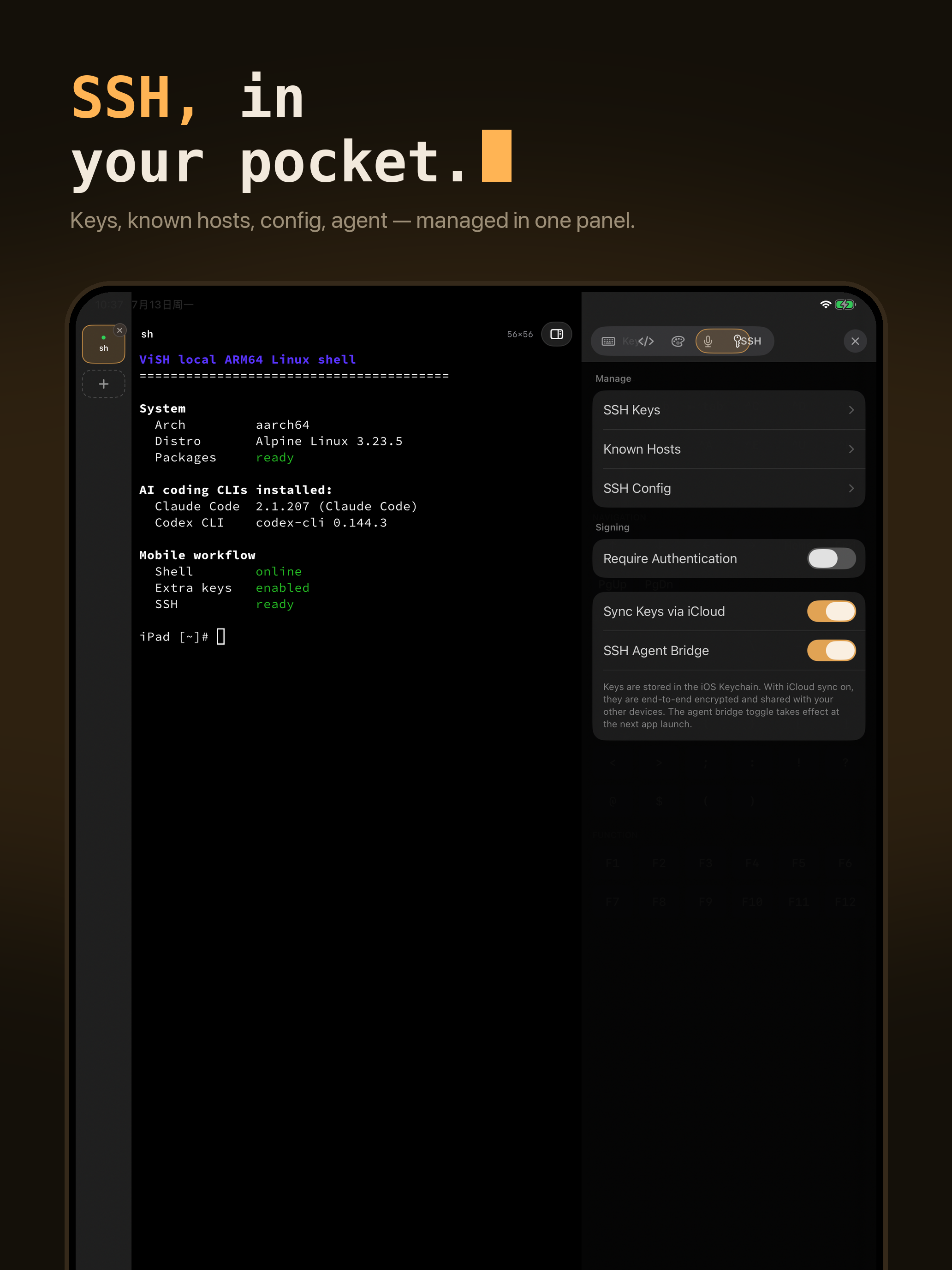 ViSH - AI Coding Terminal screenshot 13