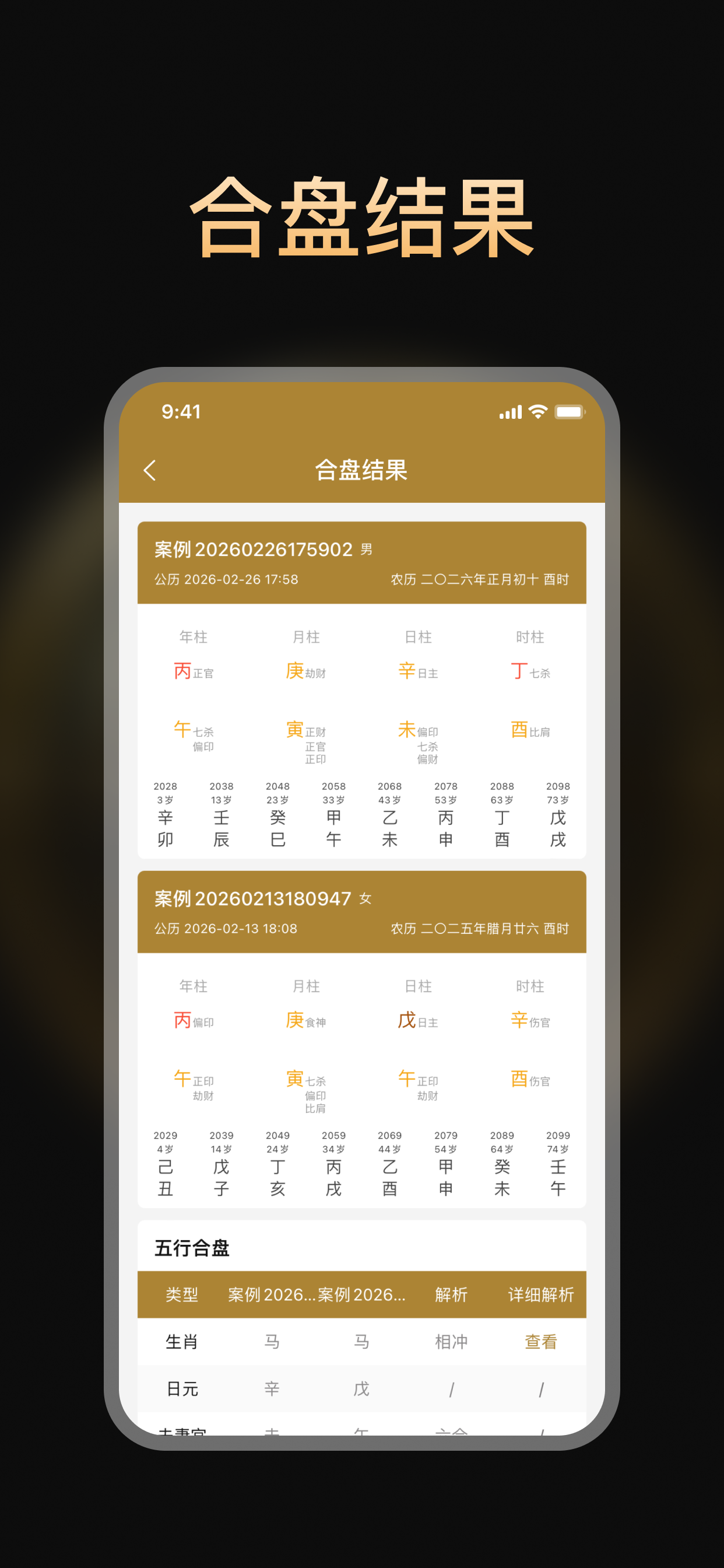 南坤八字排盘 screenshot 4