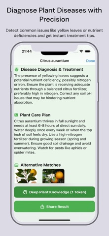 Plant identifier _ plant id screenshot