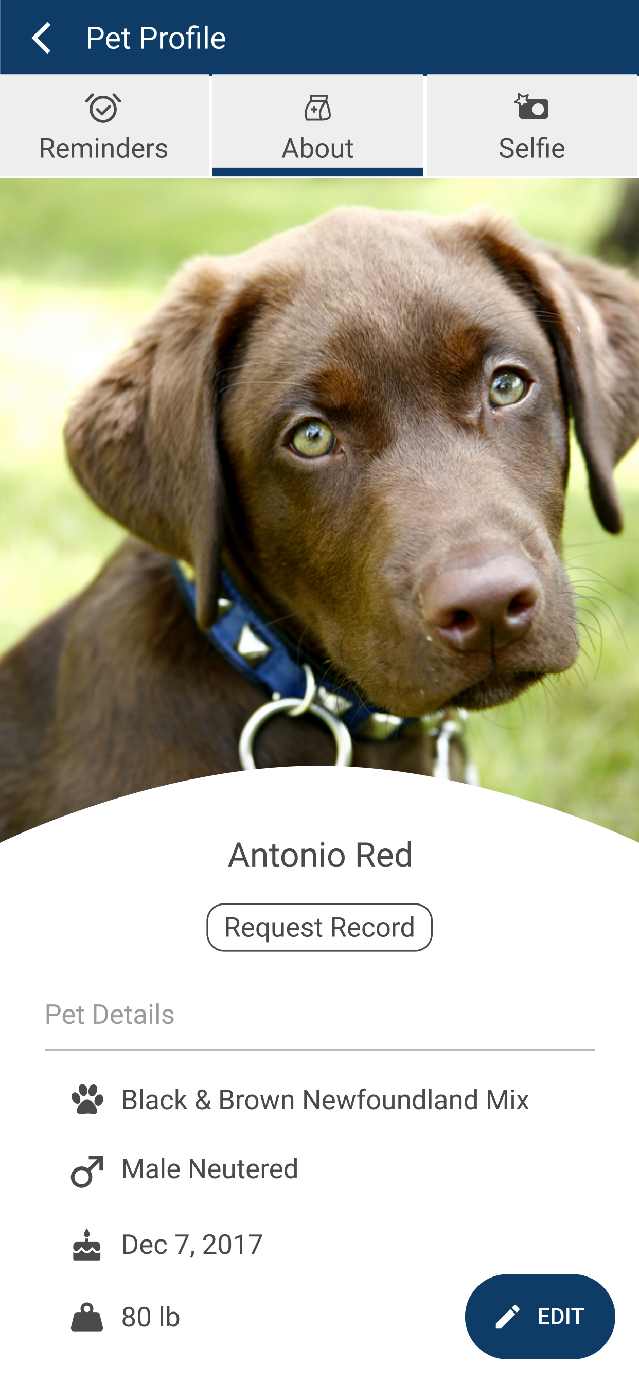 Companion Pet Care NH screenshot 3