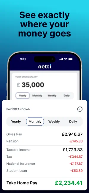 Netti screenshot 2
