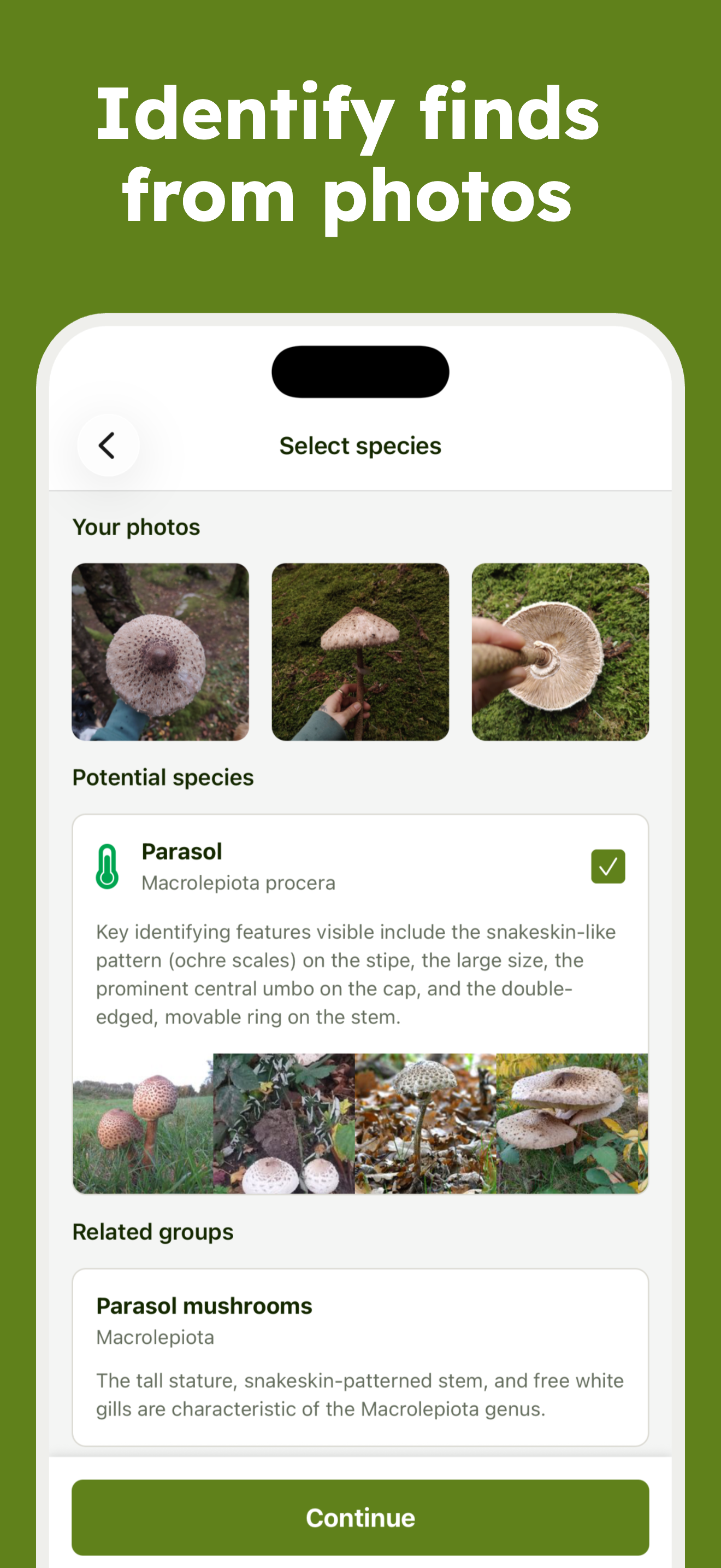 Sporecast: Mushroom Identifier