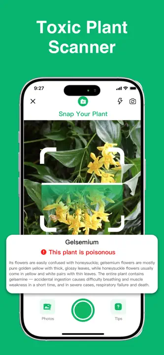Plant Identifier: ChatPlant AI: Screenshot 6 von 8