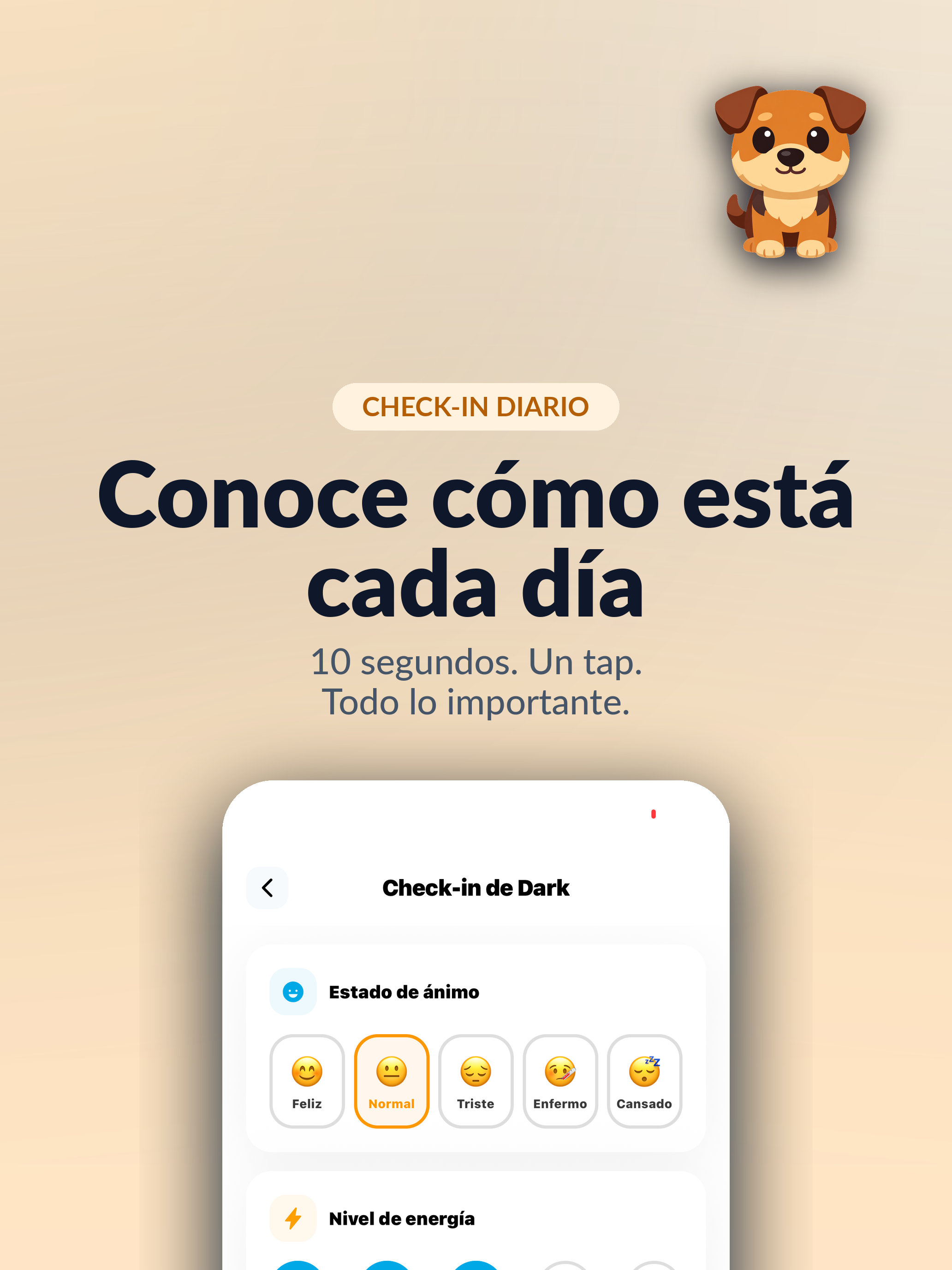 Binpet screenshot 12