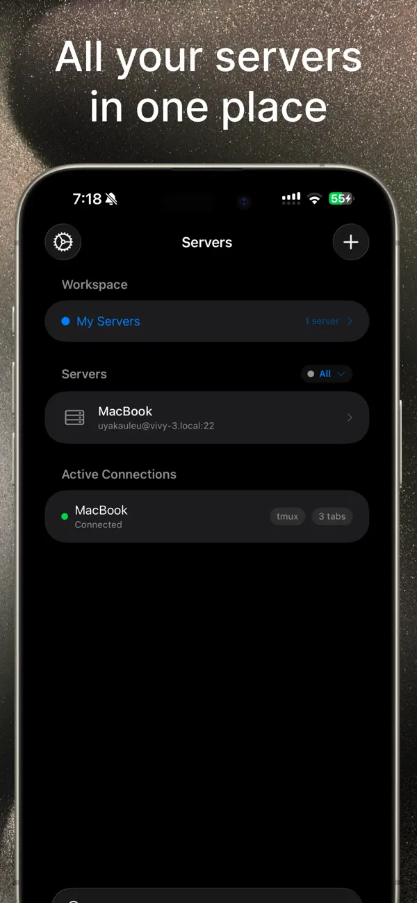 #1. VVTerm (iOS) Podle: Vivy Technologies