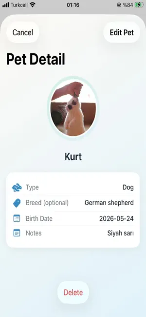 Sando Pet screenshot 3
