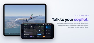 Remote Yoke - SkyYoke iPhone screenshot