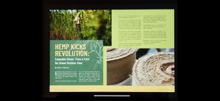 Psychedelic Pathways Magazine screenshot