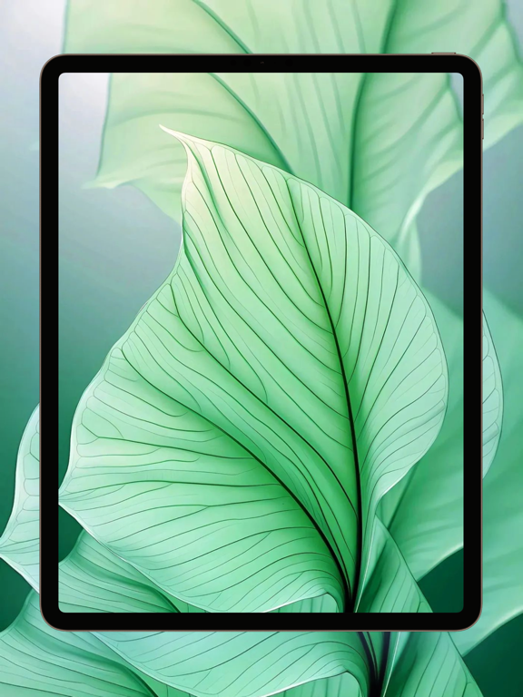 Screenshot #4 pour Abstract Wallpaper - HD - 4K