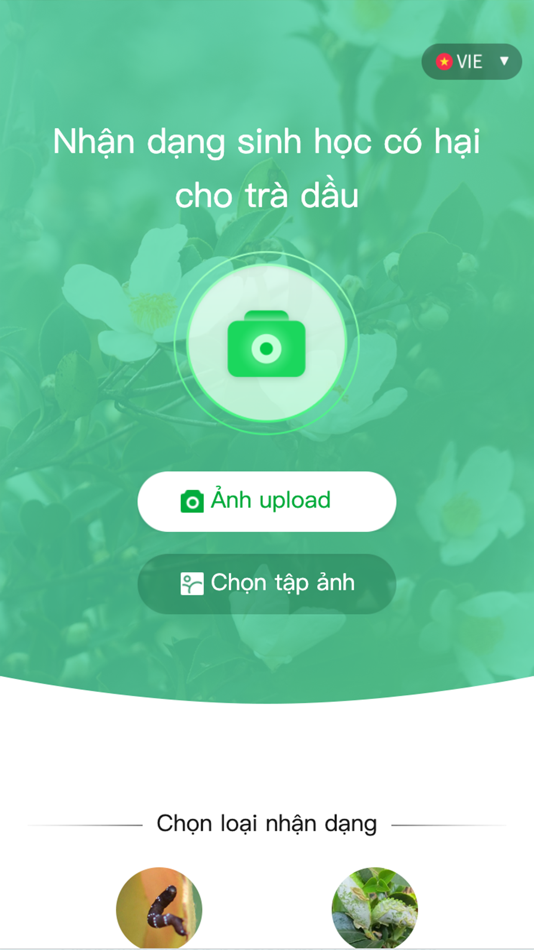 #2. Camellia pest identification (iOS) 由: Guangxi Cheemay Interactive Information Technology Ltd