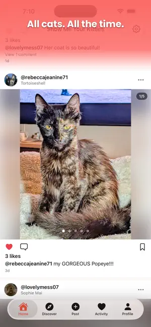 Show Me Your Kitties screenshot 1