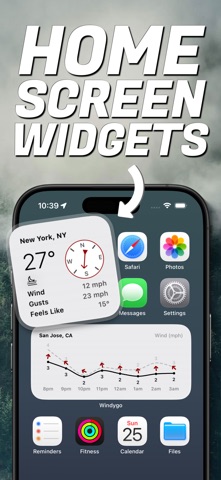 Wind Compass - Windygo screenshot