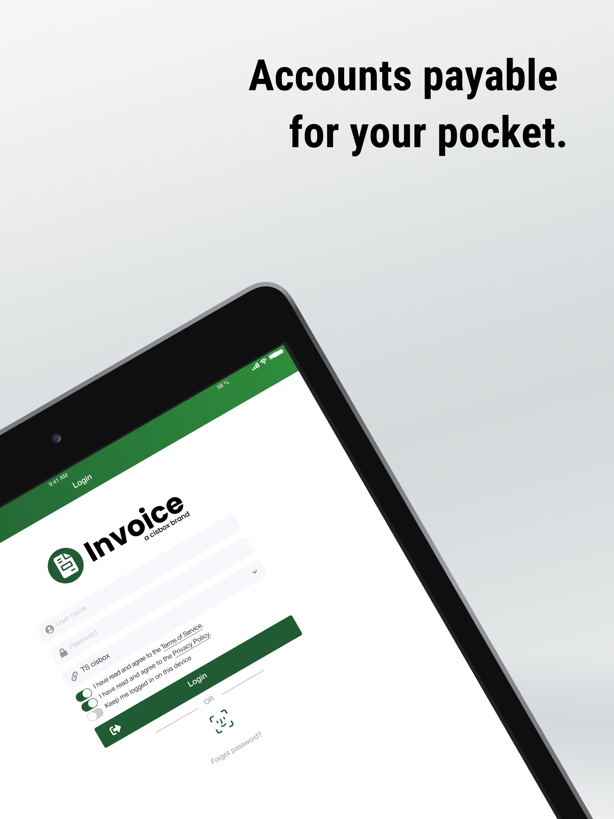 cisbox Invoice
