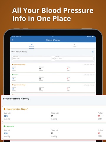 Blood Pressure & Pulse Logger iPad screenshot
