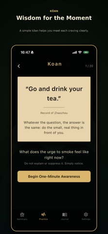 Quit Smoking Mindfully: Zen iPhone screenshot