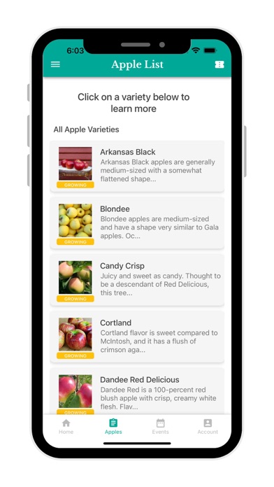 Stuckey Farm Market Screenshot