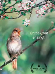 TjilpOMatic - Vogelgezang ID ipad bilder 0