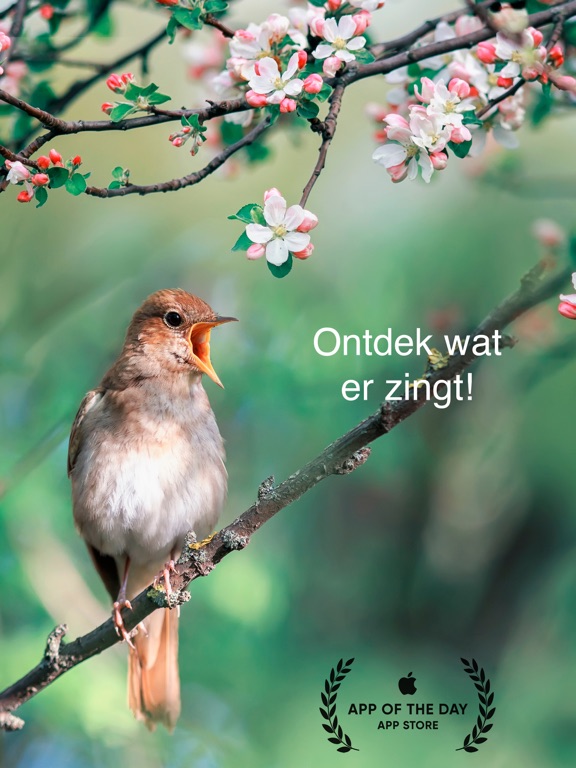 Screenshot #4 pour TjilpOMatic - Vogelgezang ID