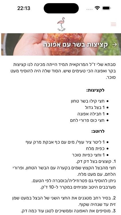 Liat Ofer screenshot-6