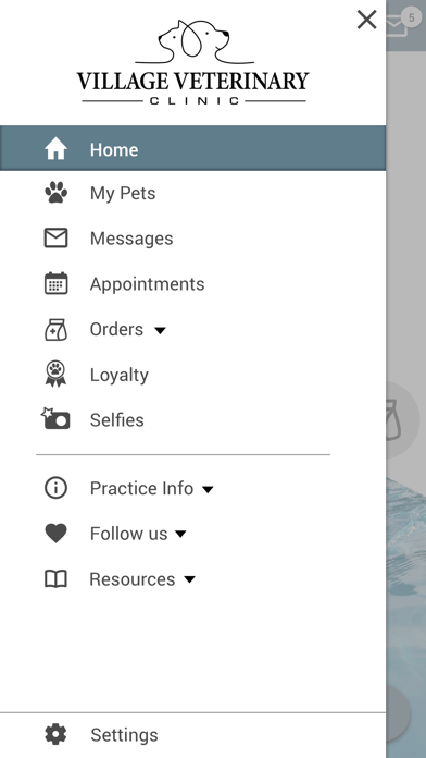 My Village Vet Screenshot