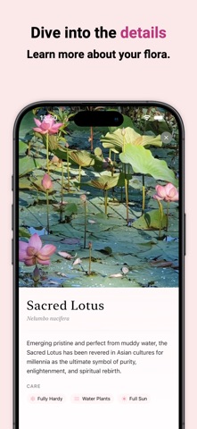 Flora - 每日一花 screenshot