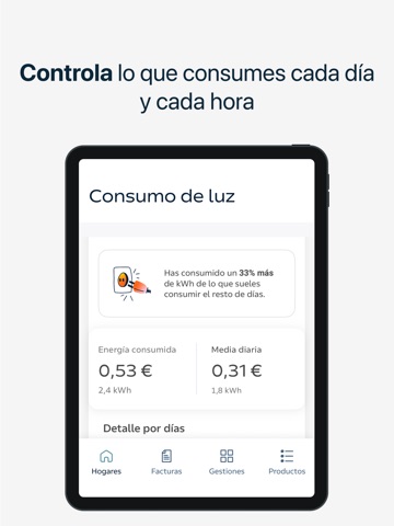 Área Cliente Régsiti iPad screenshot