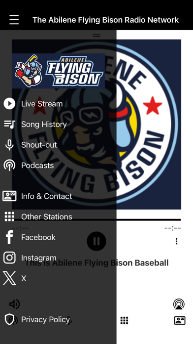 Abilene Flying Bison Screenshot