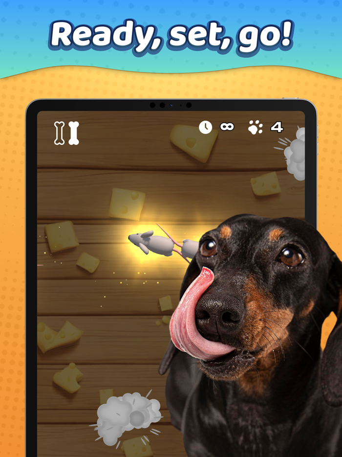 Laser Pointer － Games for Dogs