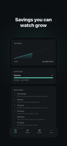 Povoli Screenshot 2 of 5