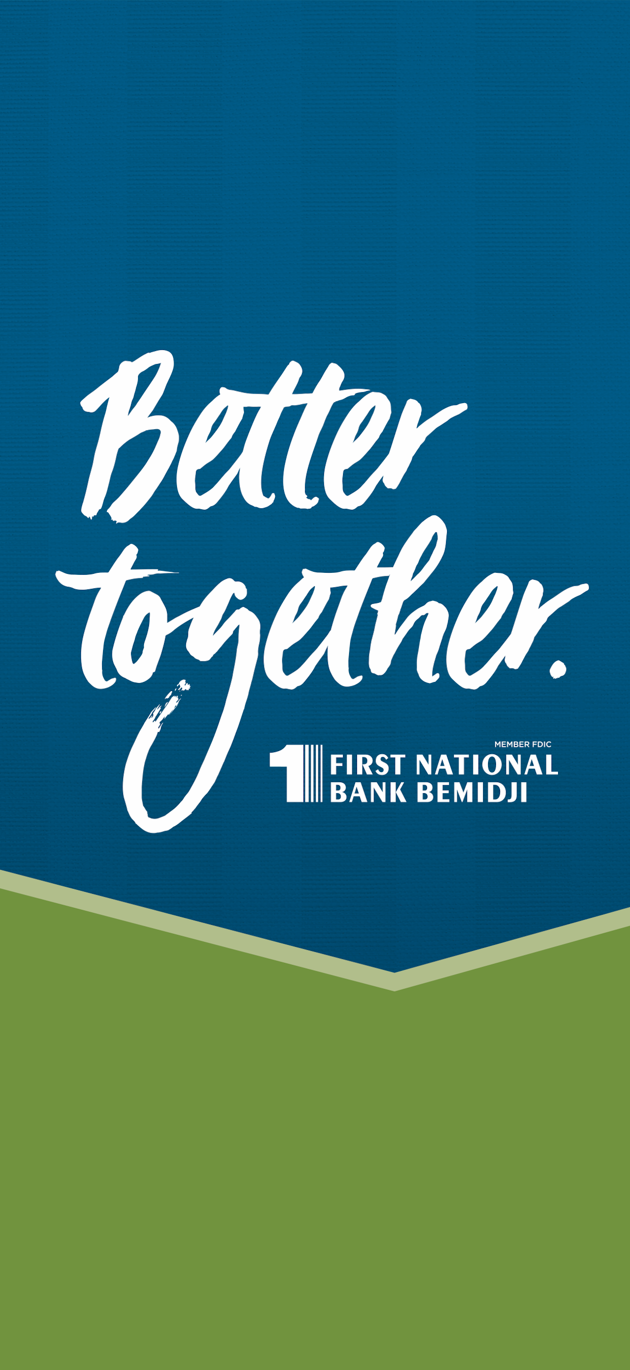 First National Bank Bemidji