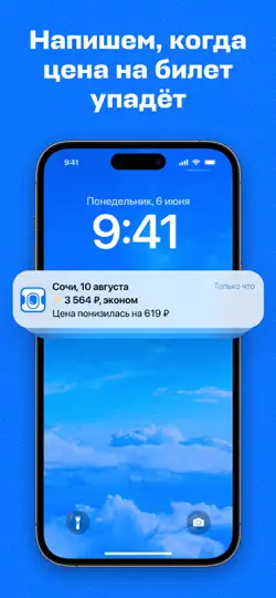 Скриншот Авиасейлс — авиабилеты дешево на iPhone 3