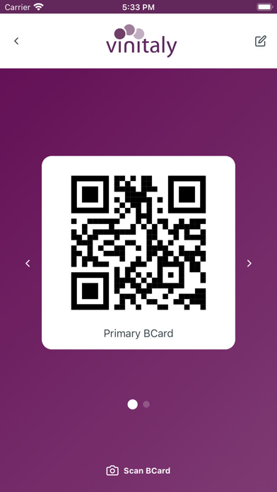 Vinitaly Plus Screenshot