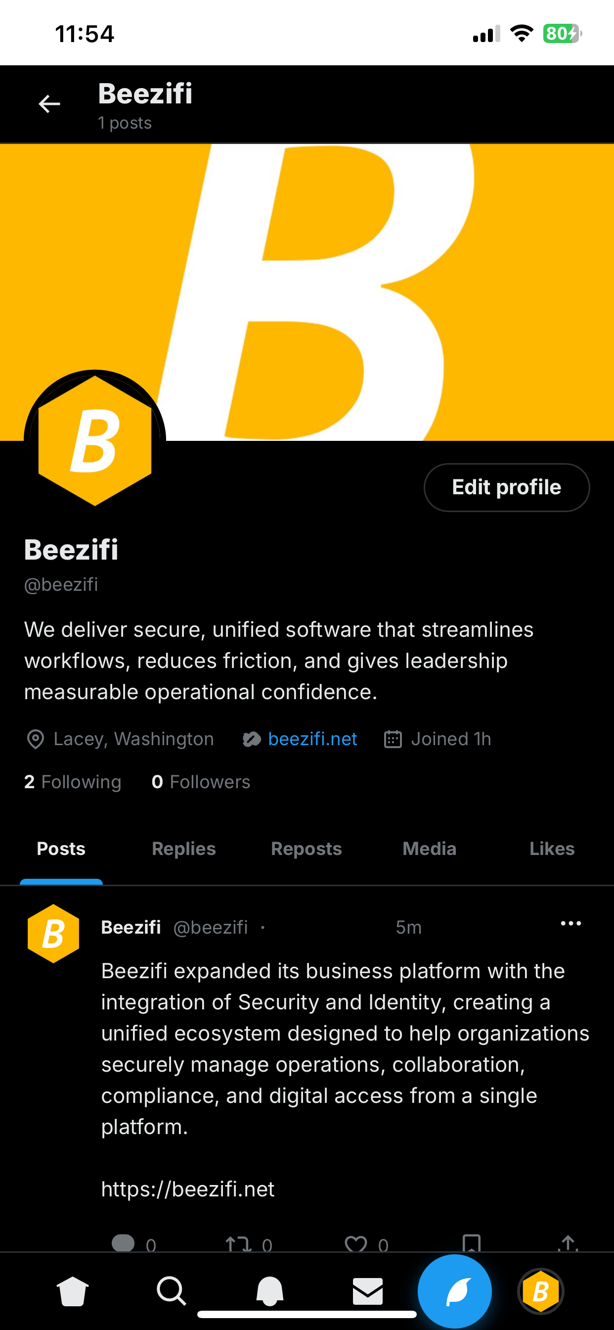 BWire screenshot 3