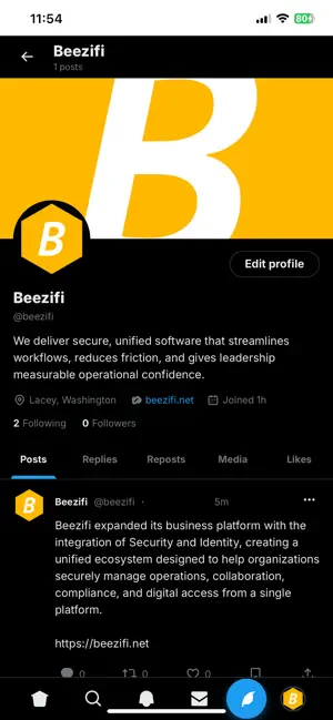 BWire screenshot 3
