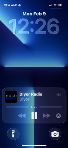 Radio Diyor screenshot
