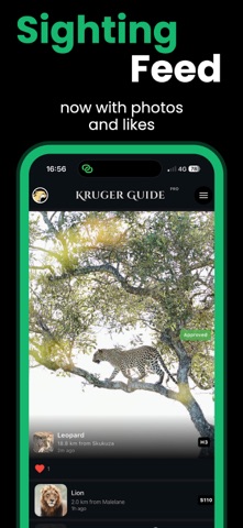 KrugerGuide screenshot