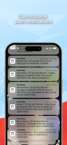 Equineline Portfolio Screenshot 7 of 7