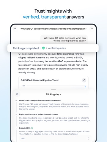 Snowflake CoWork iPad screenshot