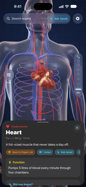 Jasad: 3D Human Anatomy screenshot 2