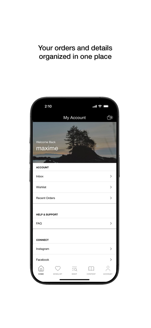 iPhone screenshot
