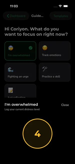 DBT Tracker: Private Diary screenshot 2