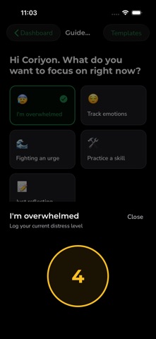 DBT Tracker: Private Diary Screenshot 2 of 10