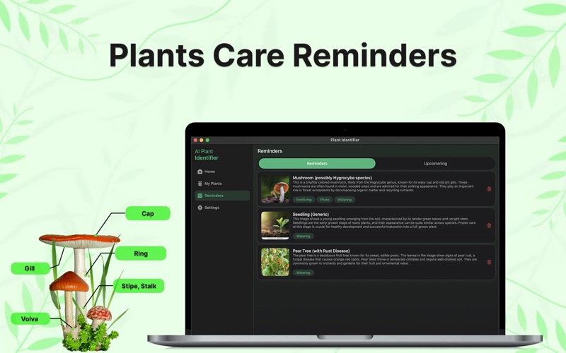 What plant is this & Weed ID iPhone screenshot