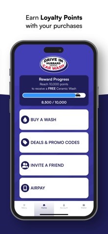 The Drive In Car Wash iPhone screenshot