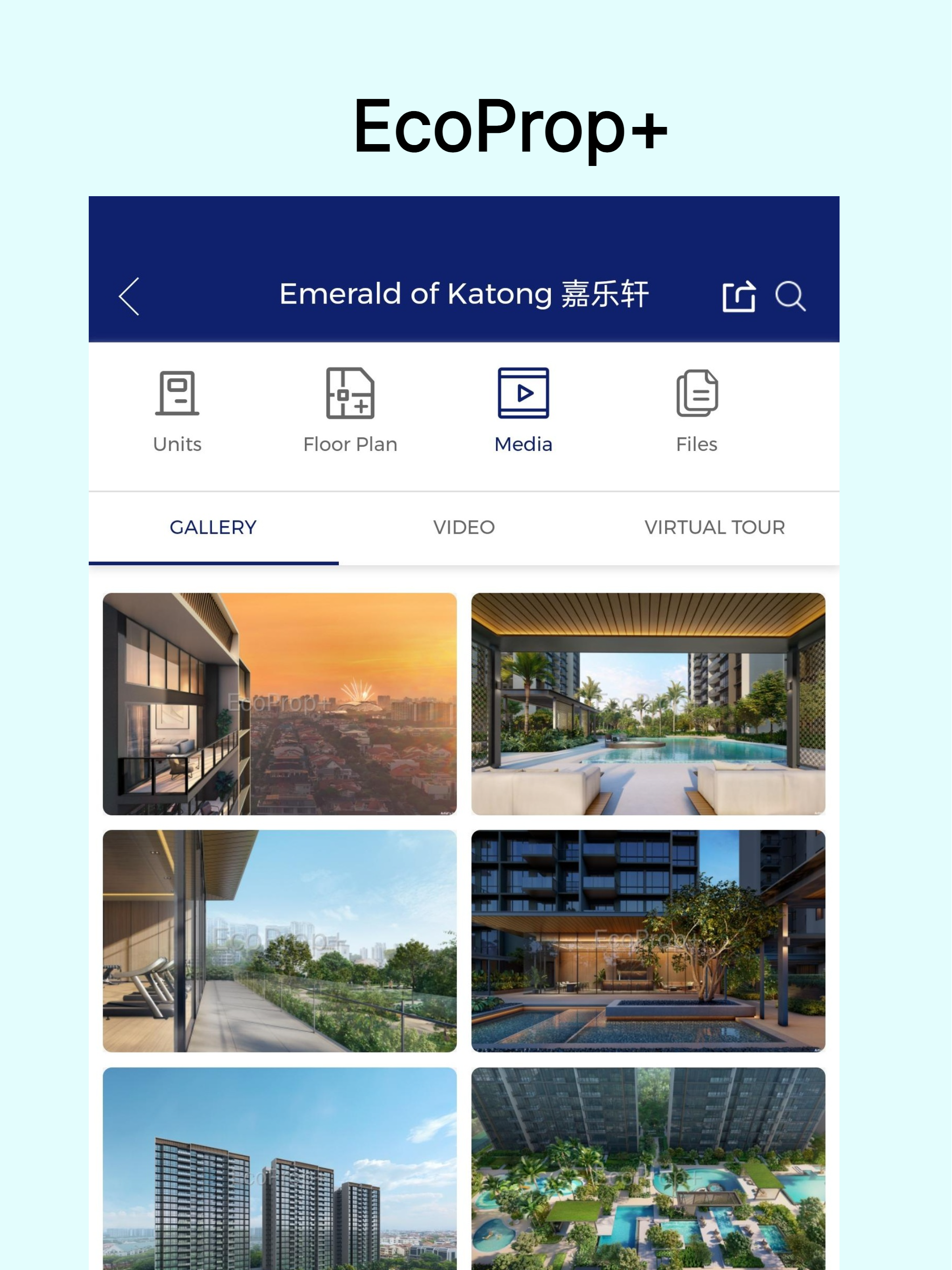 EcoProp+