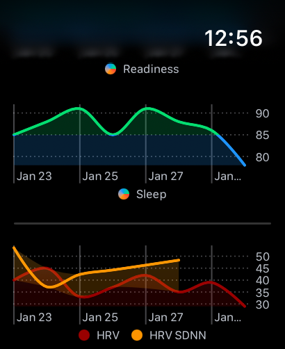 Intervals.icu Companion
