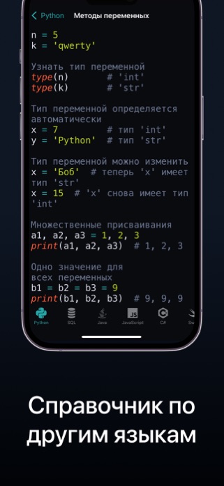 Screenshot of Изучаем Python: CodX