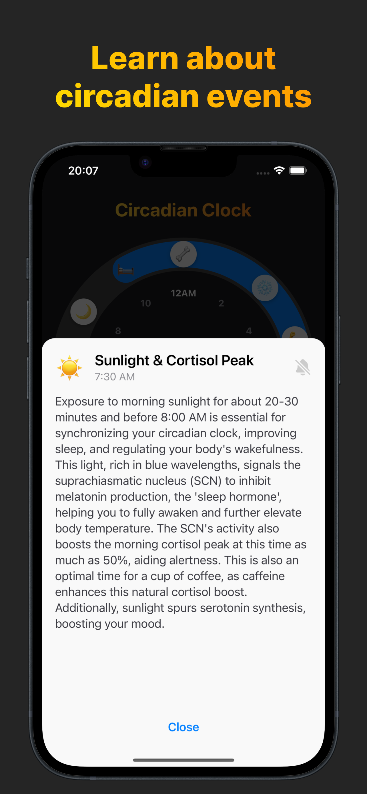 Circadian Rhythm: Body Clock