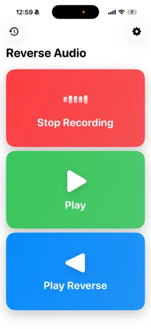 Reverse Audio • Singing & Play screenshot 1