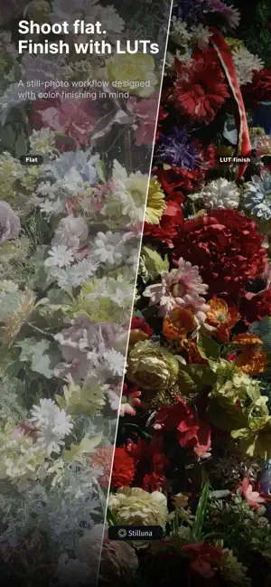 Stilluna screenshot 2